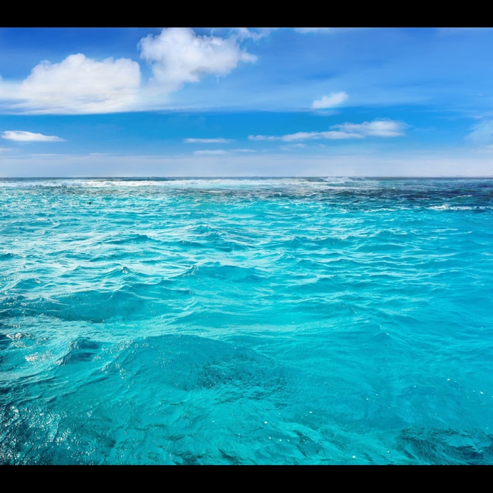 Meet your Posher, Alejandra